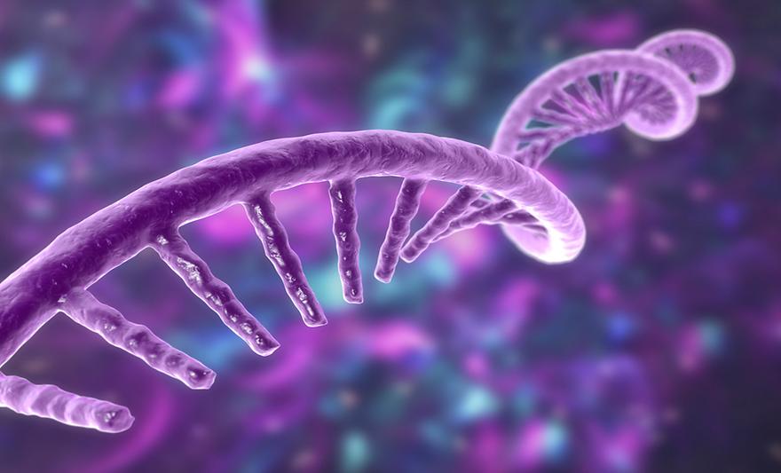 아주대·가톨릭대 연구팀,  mRNA 백신·치료제 효용 높일 新 분석 기술 개발